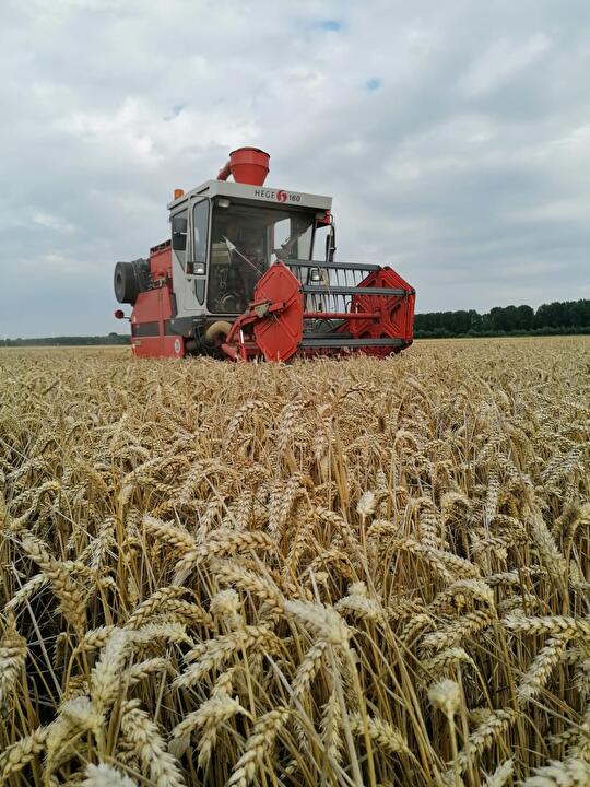 proefveldcombine