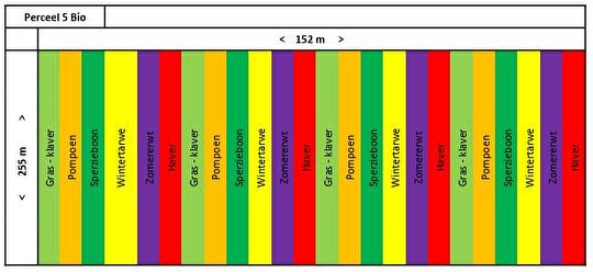 Schema strokenteelt
