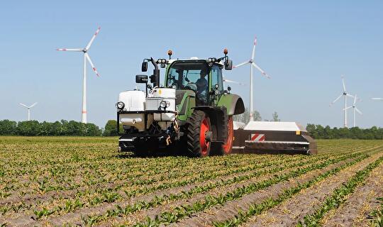 Veldexperiment onkruidbestrijding in de suikerbietenteelt van start