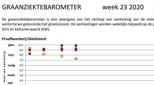 Graanziektebarometer