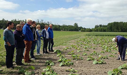 Planty Organic excursie pompoen