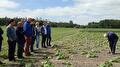 Planty Organic excursie pompoen