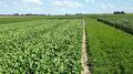 Bioconserven Noord