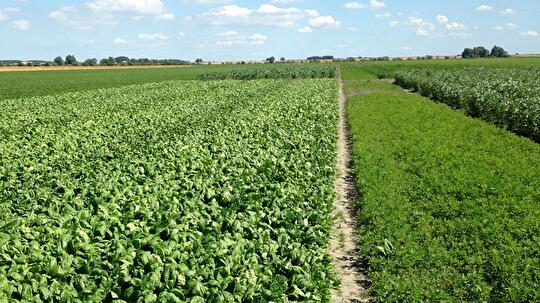 Bioconserven Noord 