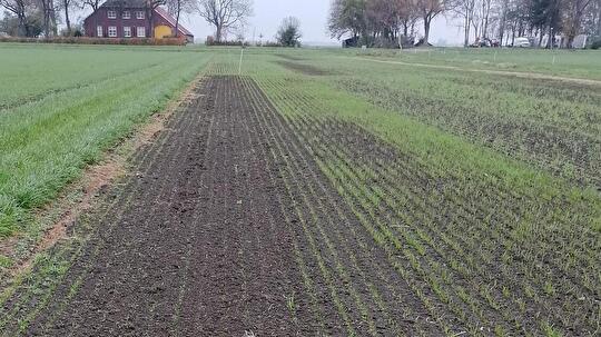 Akkerranden Oldambt Zaaien nov22