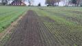 Akkerranden Oldambt Zaaien nov22