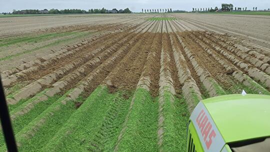 Strooien gras en kuil