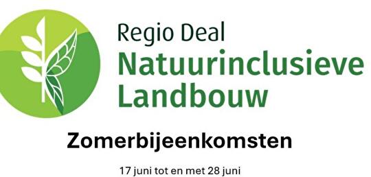Regiodeal NIL avonden