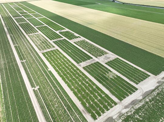 Aardappel proefvelden 2023