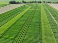 Rassenproef tarwe drone 2024