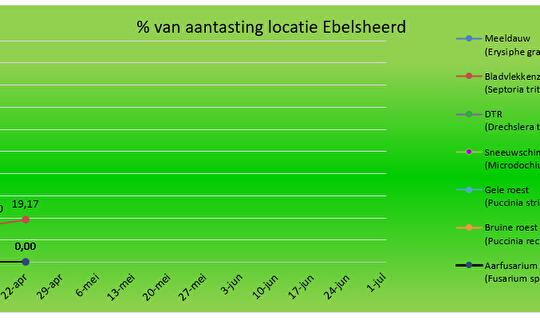 Verloop graanziektebarometer 