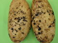 Rhizoctonia zwaar