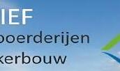 Nieuwsbrieven SPNA