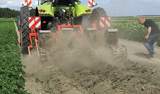 Loofdood strategiën aardappel