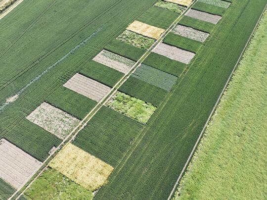 160 Proefveld juni2023