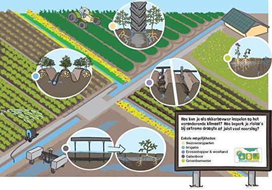Klimaatadaptatie visual als plaatje