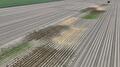 Strooien trans4num aardappel