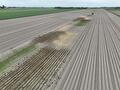 Proefveld dronefoto
