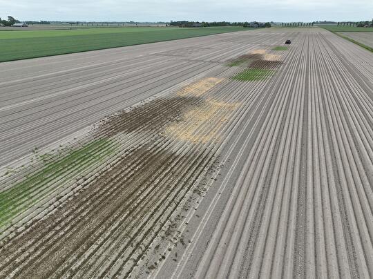 Proefveld dronefoto