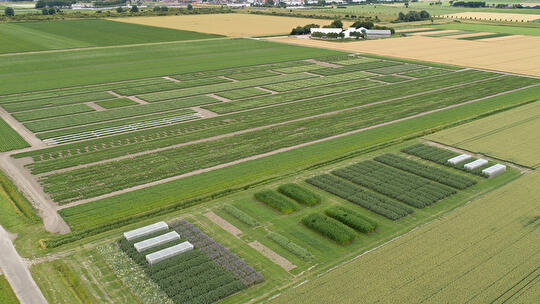 Drone foto KW fascinating 2022