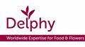 Delphy