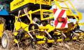 Directzaai tarwe en minimale grondbewerking in Oldambt